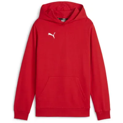 Puma teamGOAL Casuals Junior Jungen Pullover kaufen